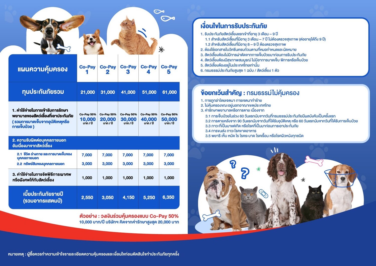 Full coverage table for the five Co-Pay 50% plans: total sum insured from 21,000 to 61,000 baht, 50% co-pay medical limits from 10,000 to 50,000 baht per year, third-party liability, and annual premiums from 2,550 to 6,350 baht, with the underwriting conditions and key exclusions.