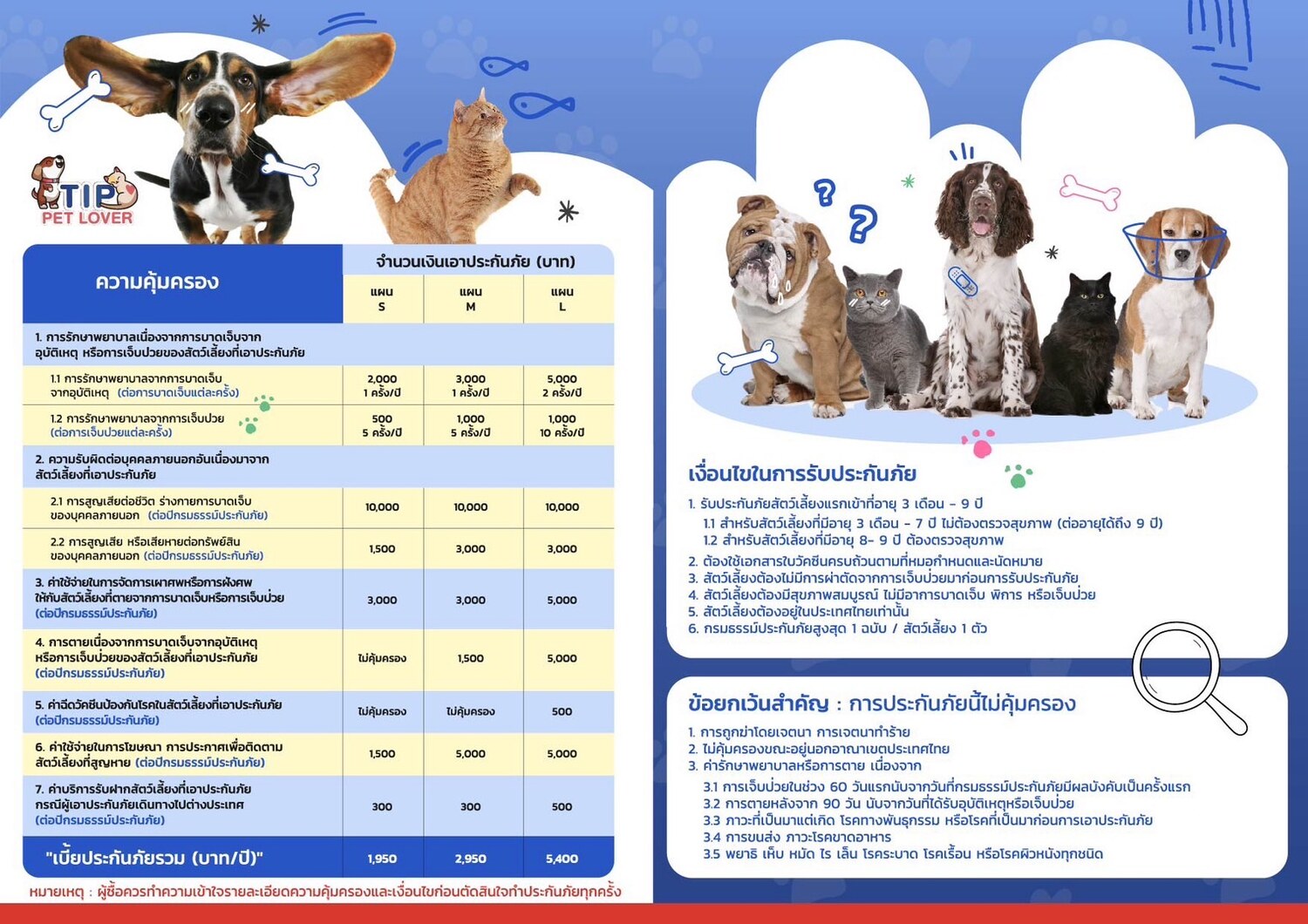 Full coverage table for the standard S, M and L plans: per-visit accident and illness limits, third-party liability, funeral costs, vaccination, lost-pet advertising, and total annual premiums of 1,950, 2,950 and 5,400 baht, with the underwriting conditions and key exclusions.